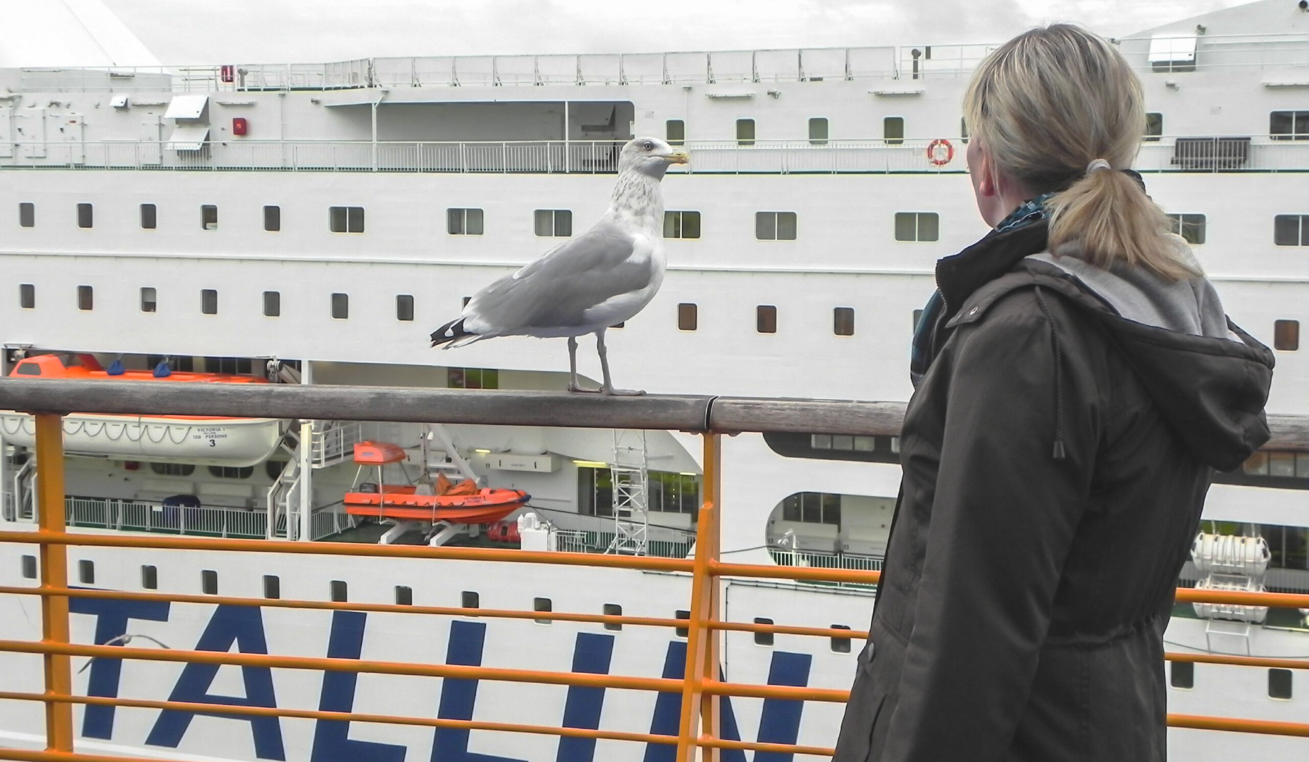 Helsinki, im Hafen
