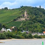Am Rhein zwischen Bingen und Koblenz