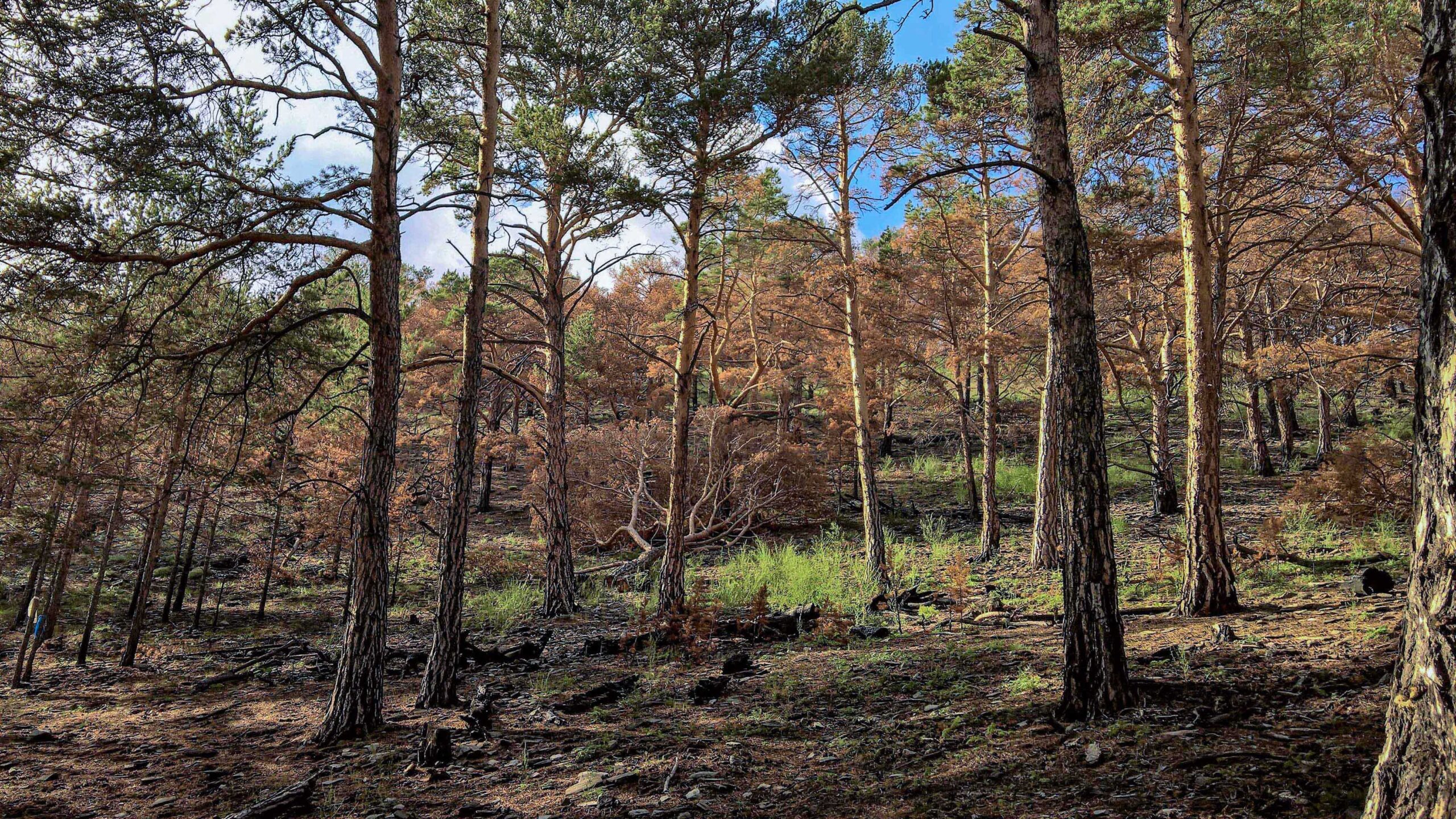 An den “Heiligen Quellen” des Baikal