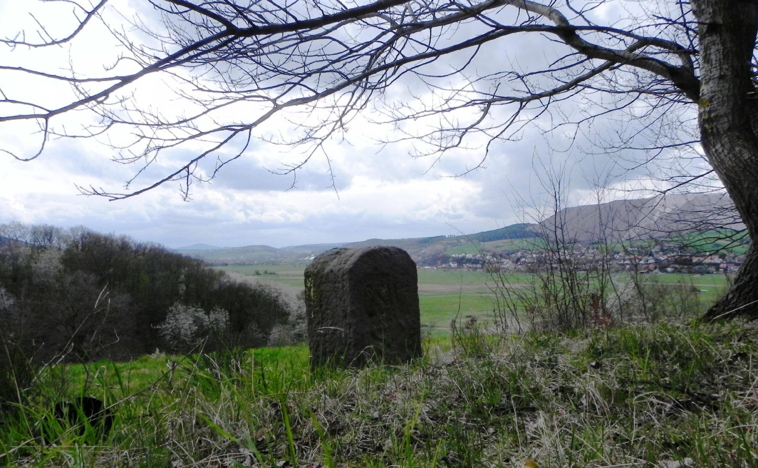 ZeitzeugenZeitzeugen der Teilung, historischer Grenzstein an der ehemaligen Grenze bei Dippach