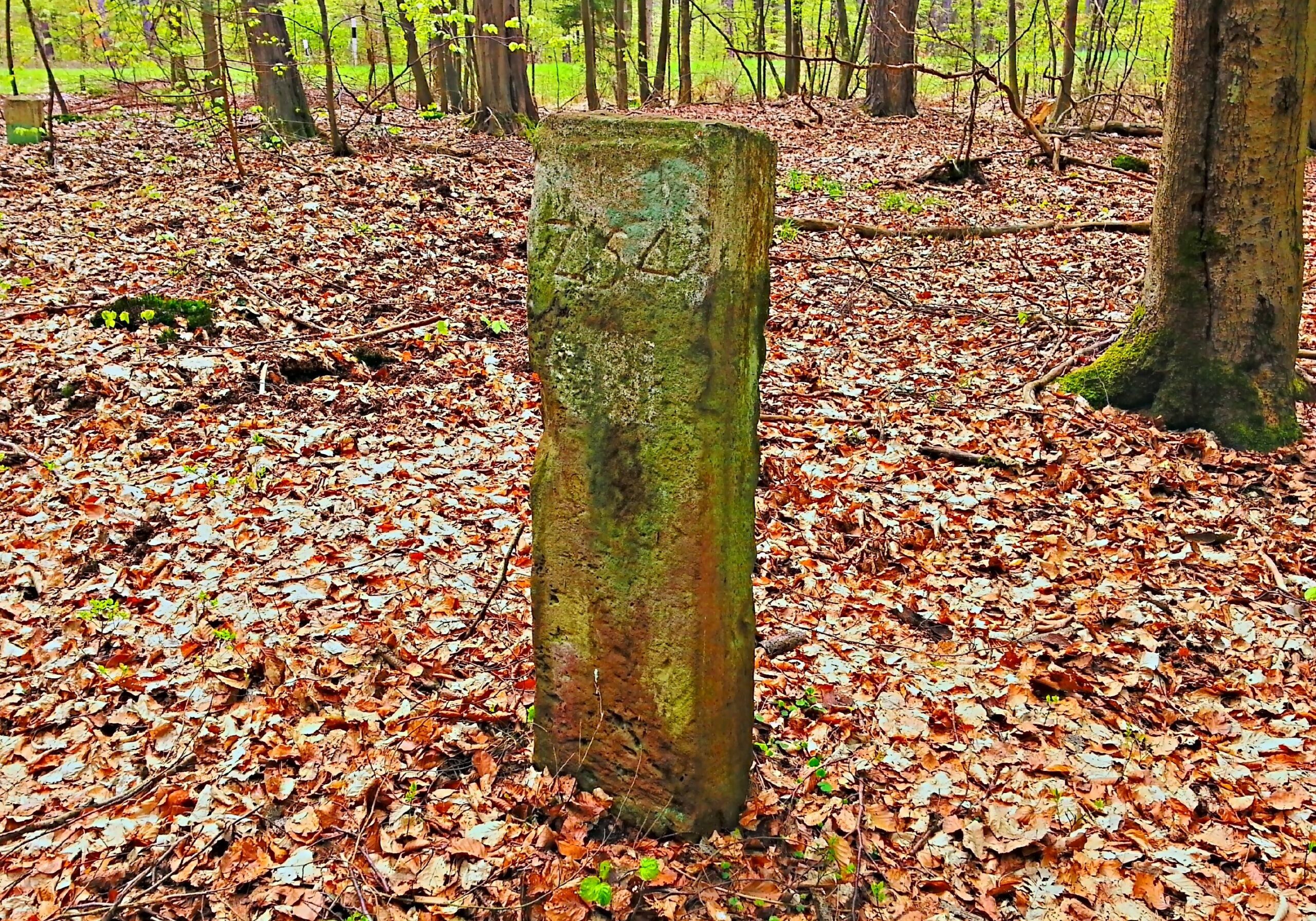 Zeitzeugen der Teilung, historischer Grenzstein nahe der Höhe Bodesruh