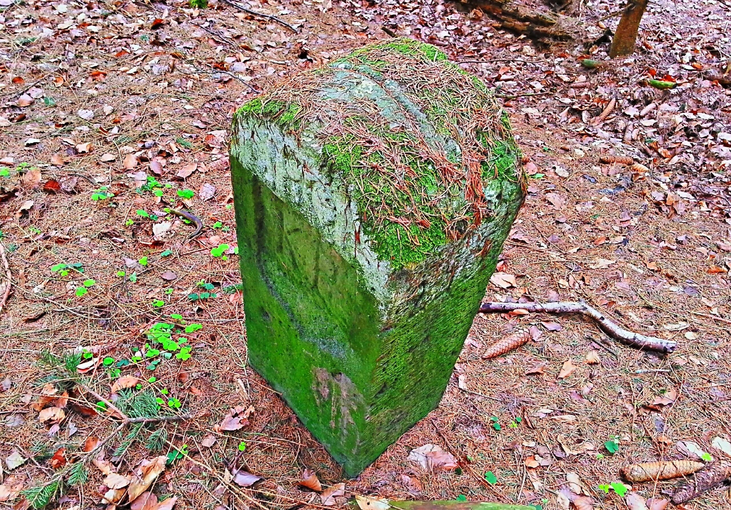 Zeitzeugen der Teilung, historischer Grenzstein nahe der Höhe Bodesruh