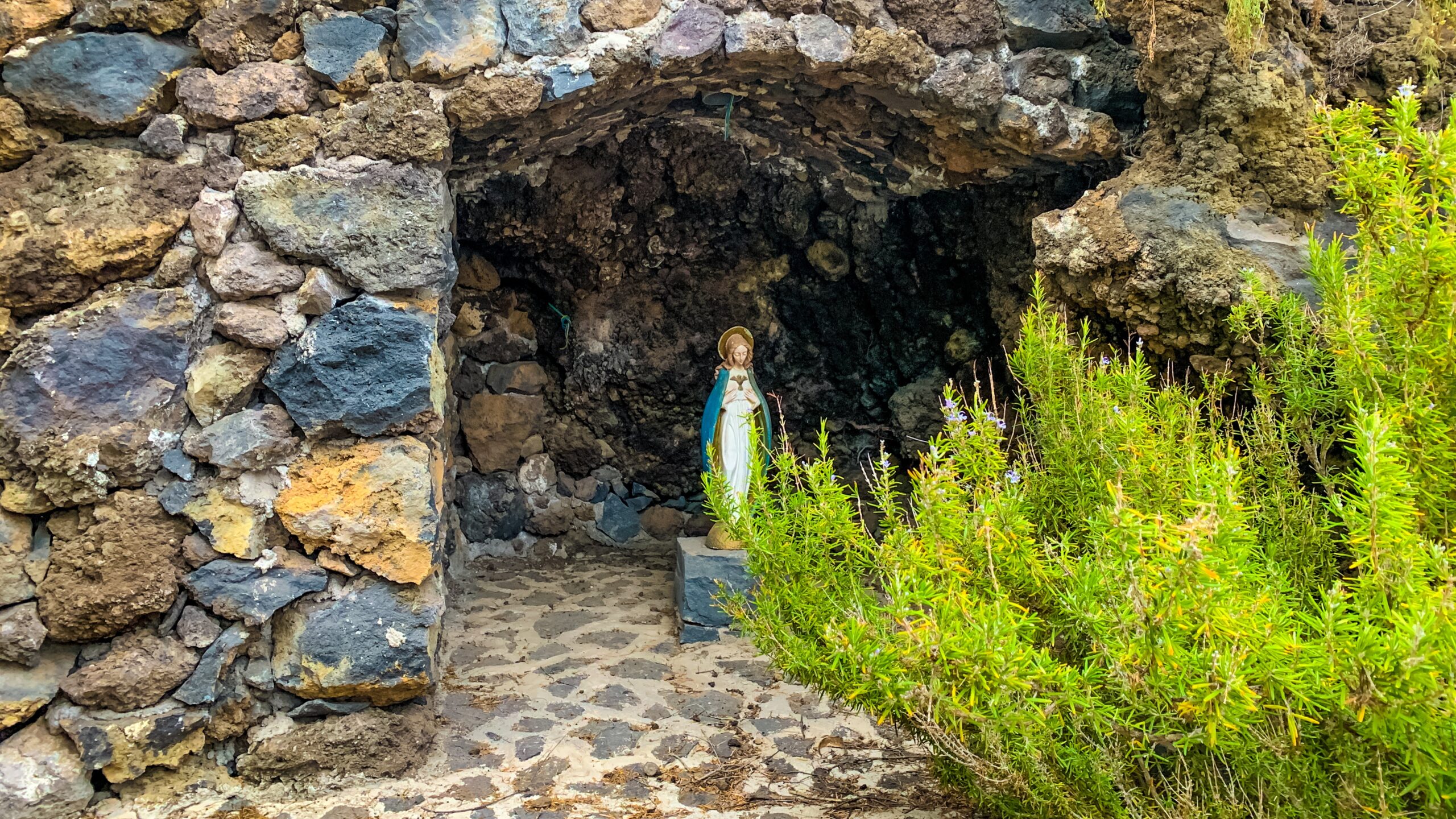 Atlantik, Teneriffa, Finca bei Los Gigantes, im Lavafeld