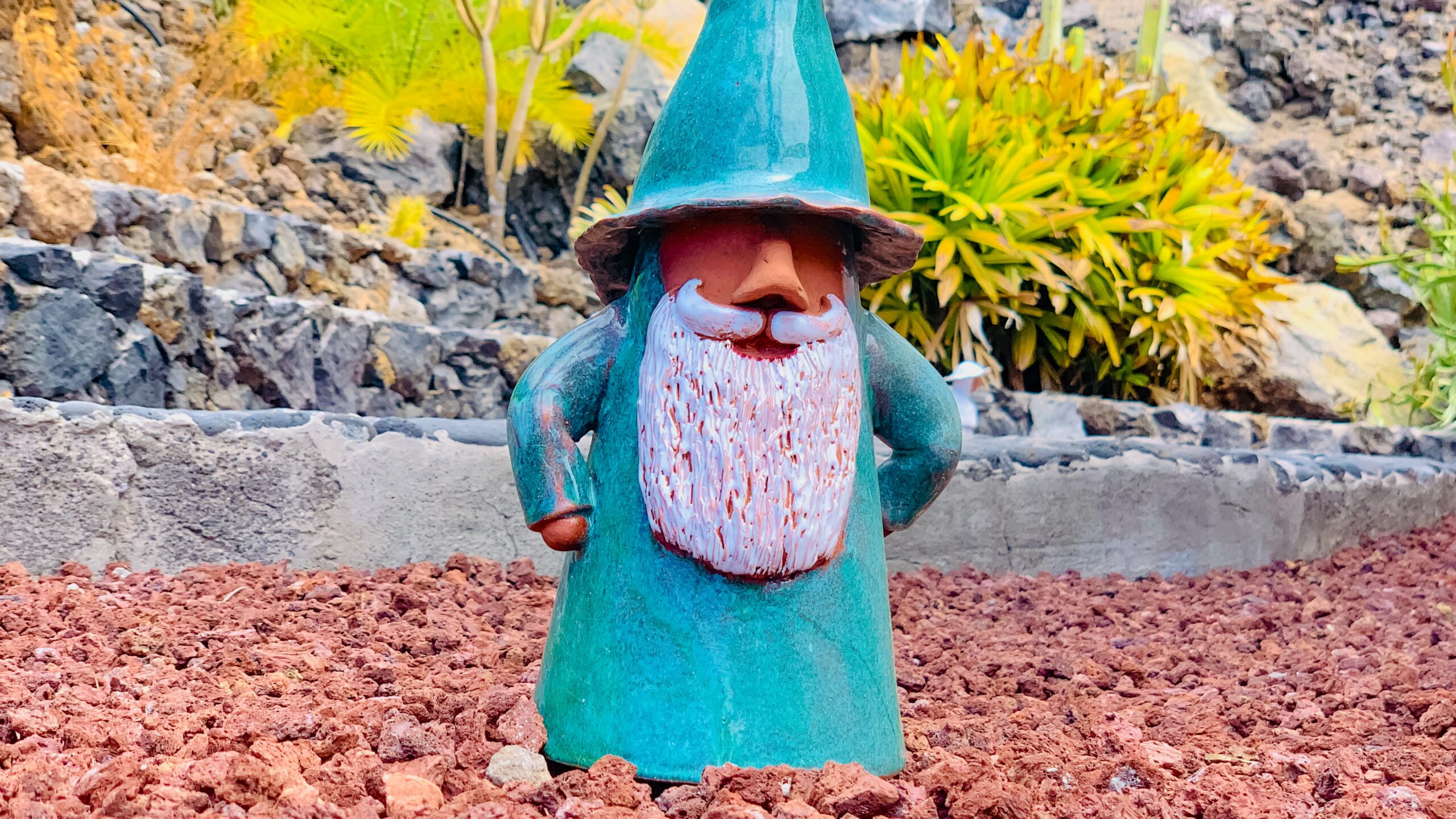 Atlantik, Teneriffa, Finca bei Los Gigantes, im Lavafeld