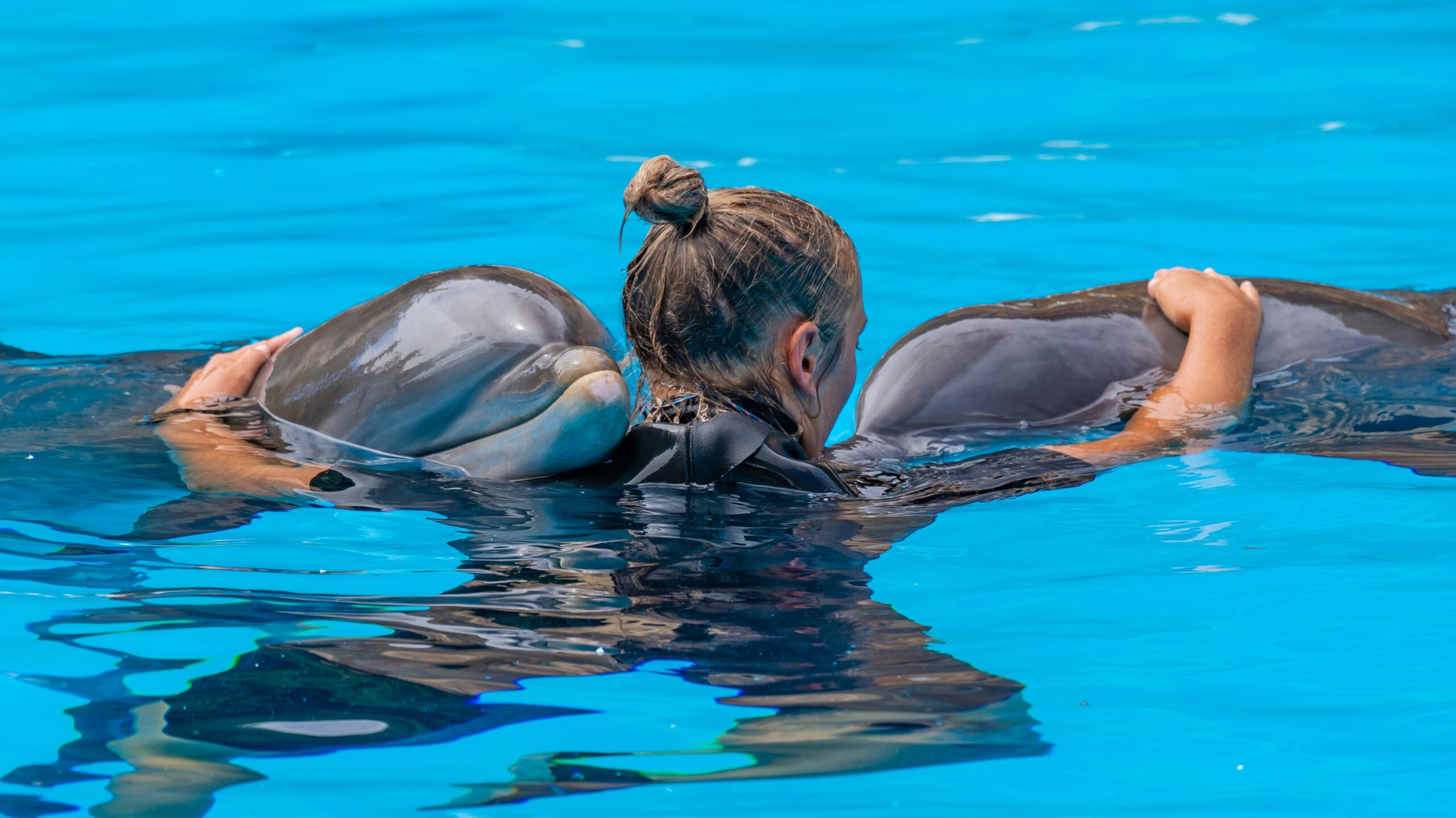 Atlantik, Teneriffa, La Orotava, Loro Parque, Delfine