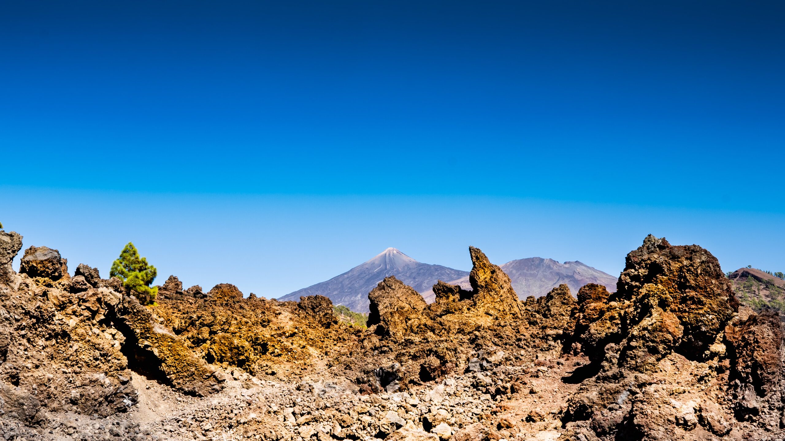 Atlantik, Teneriffa, unterwegs zum Pico del Teide