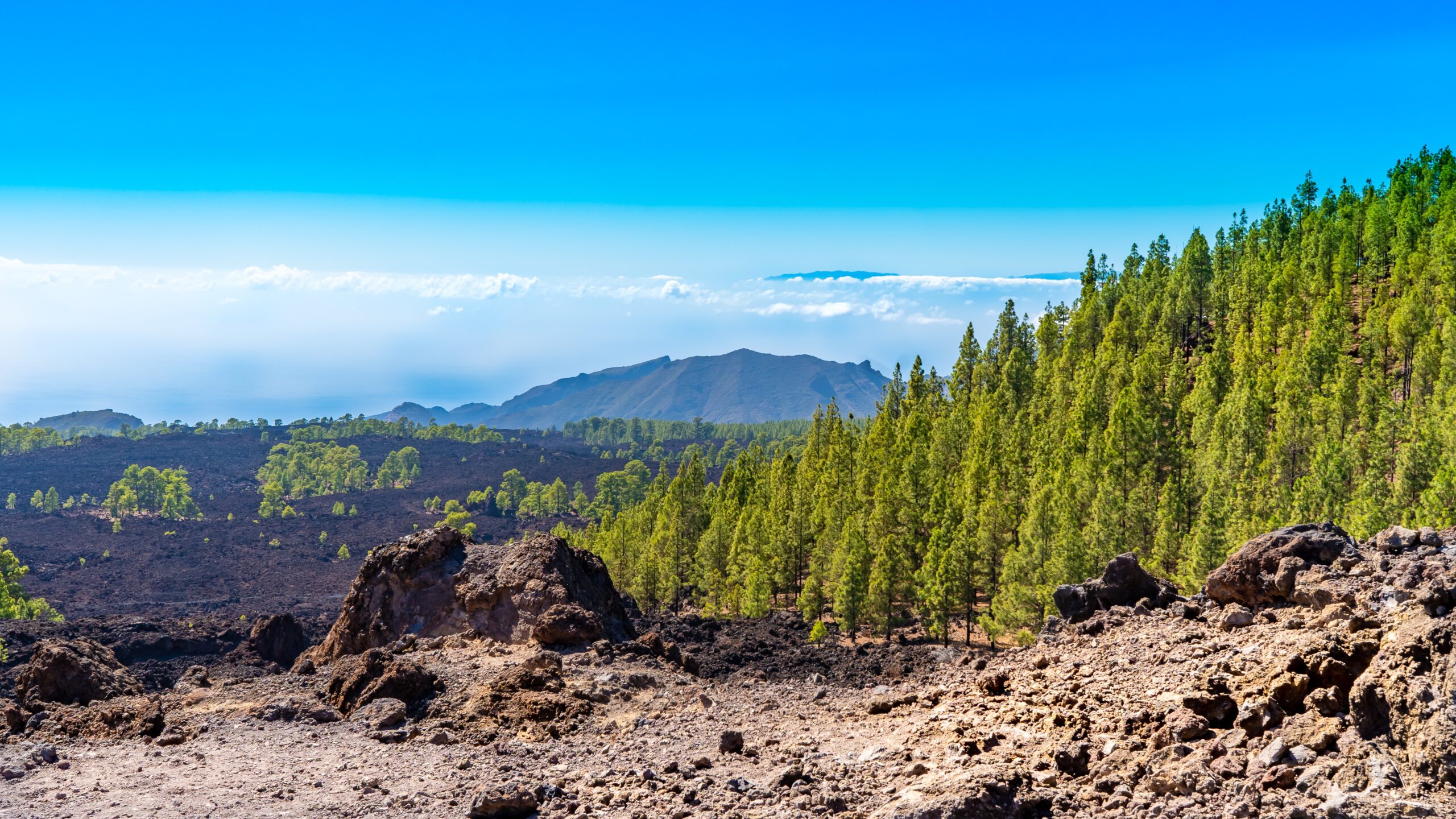 Atlantik, Teneriffa, unterwegs zum Pico del Taide