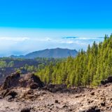Atlantik, Teneriffa, unterwegs zum Pico del Teide