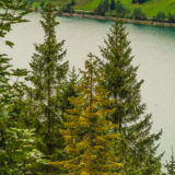 Tirol, Tannheimer Tal, Haldensee