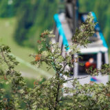 Allgäu, bei Füssen, Blick vom Tegelberg