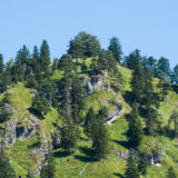 Allgäu, am Tegelberg