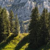 Allgäu, auf dem Tegelberg