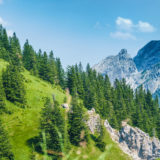 Allgäu, auf dem Tegelberg