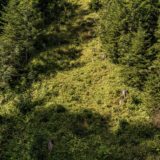 Alpen, Tirol, Tannheimer Tal