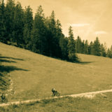 Alpen, Tirol, Tannheimer Tal
