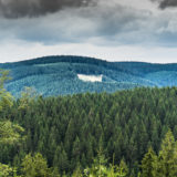 Rennsteig bei Oberhof