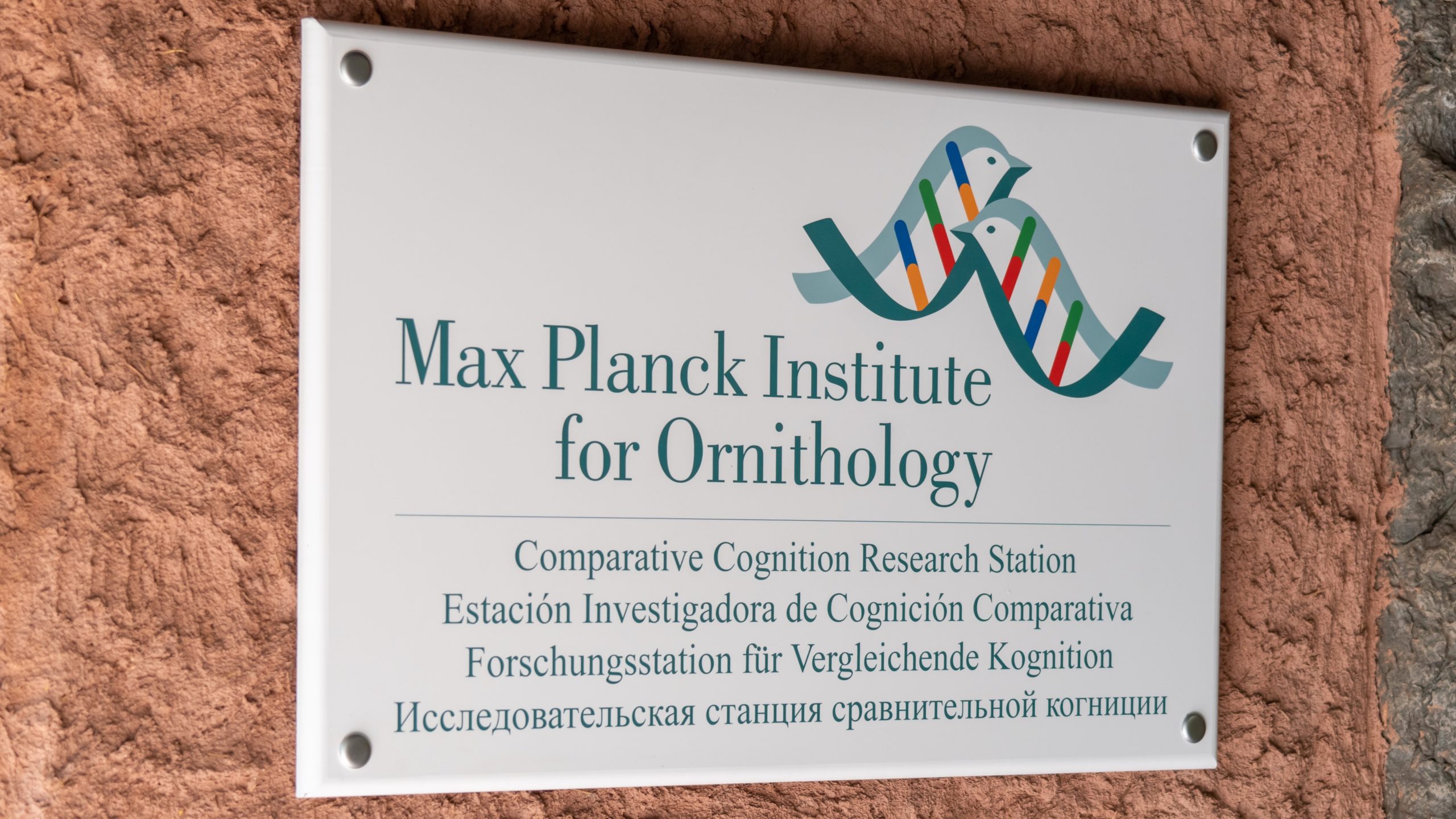 Atlantik, Teneriffa, La Orotava, Loro Parque, Max-Planck-Institut für Ornithologie