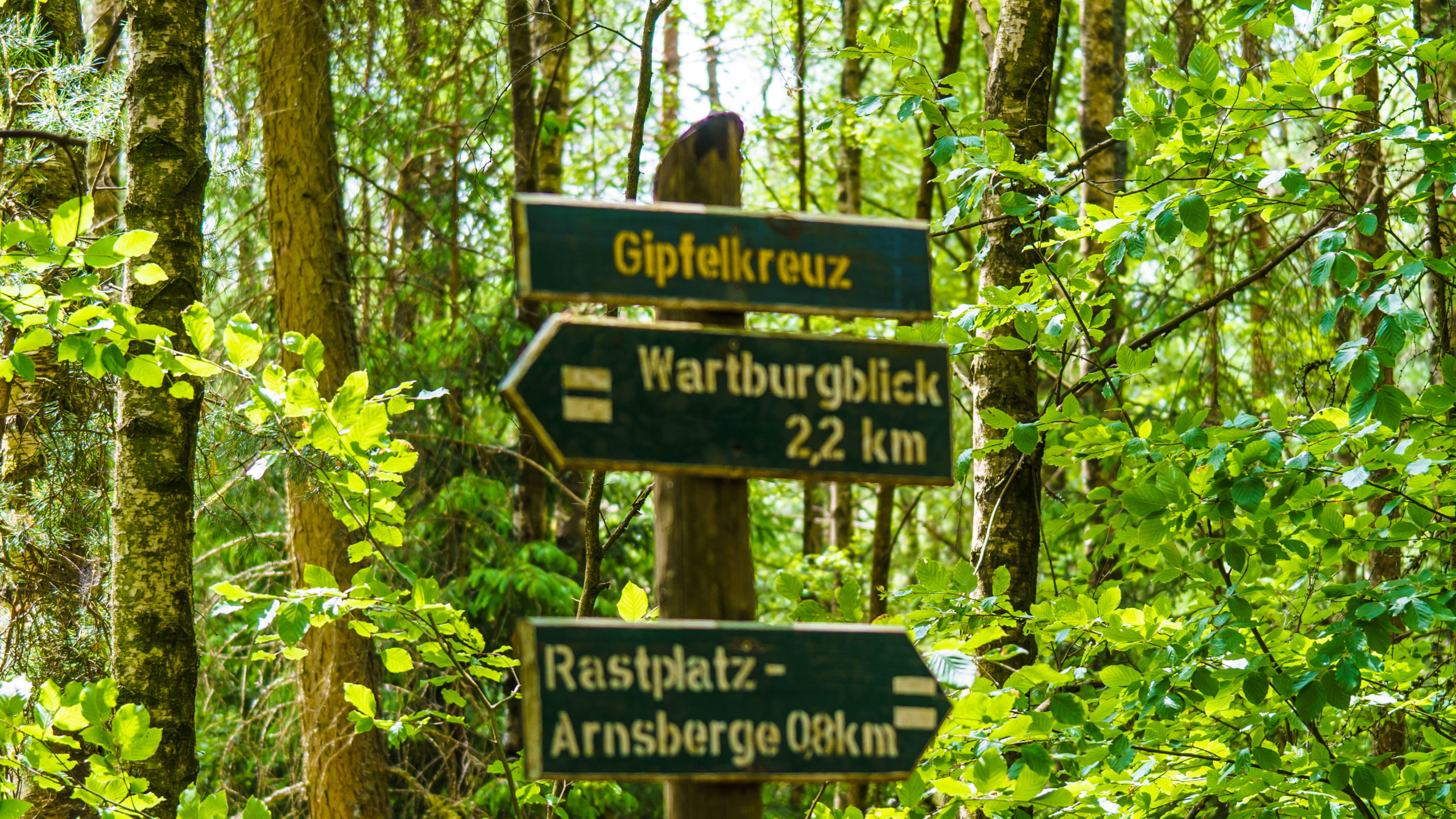 Grenzweg Gerstunger Forst , am Gipfelkreuz nahe Arnsberg
