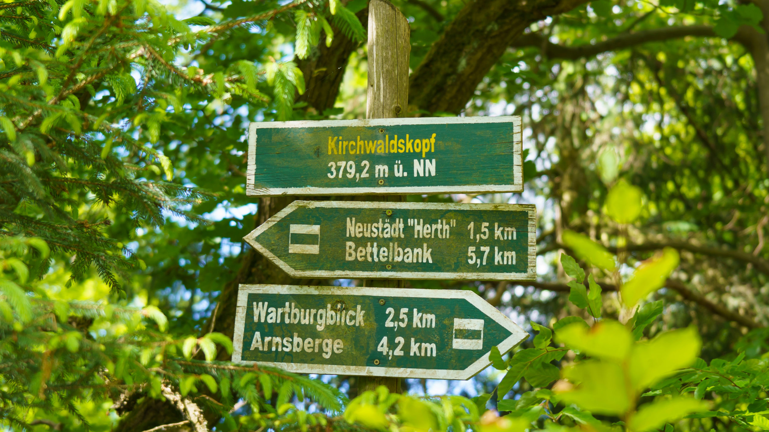 Grenzweg Gerstunger Forst, Wegweiser am Kirchwaldskopf