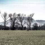 Thüringen, Gerstungen, Blick zum Monte Kali