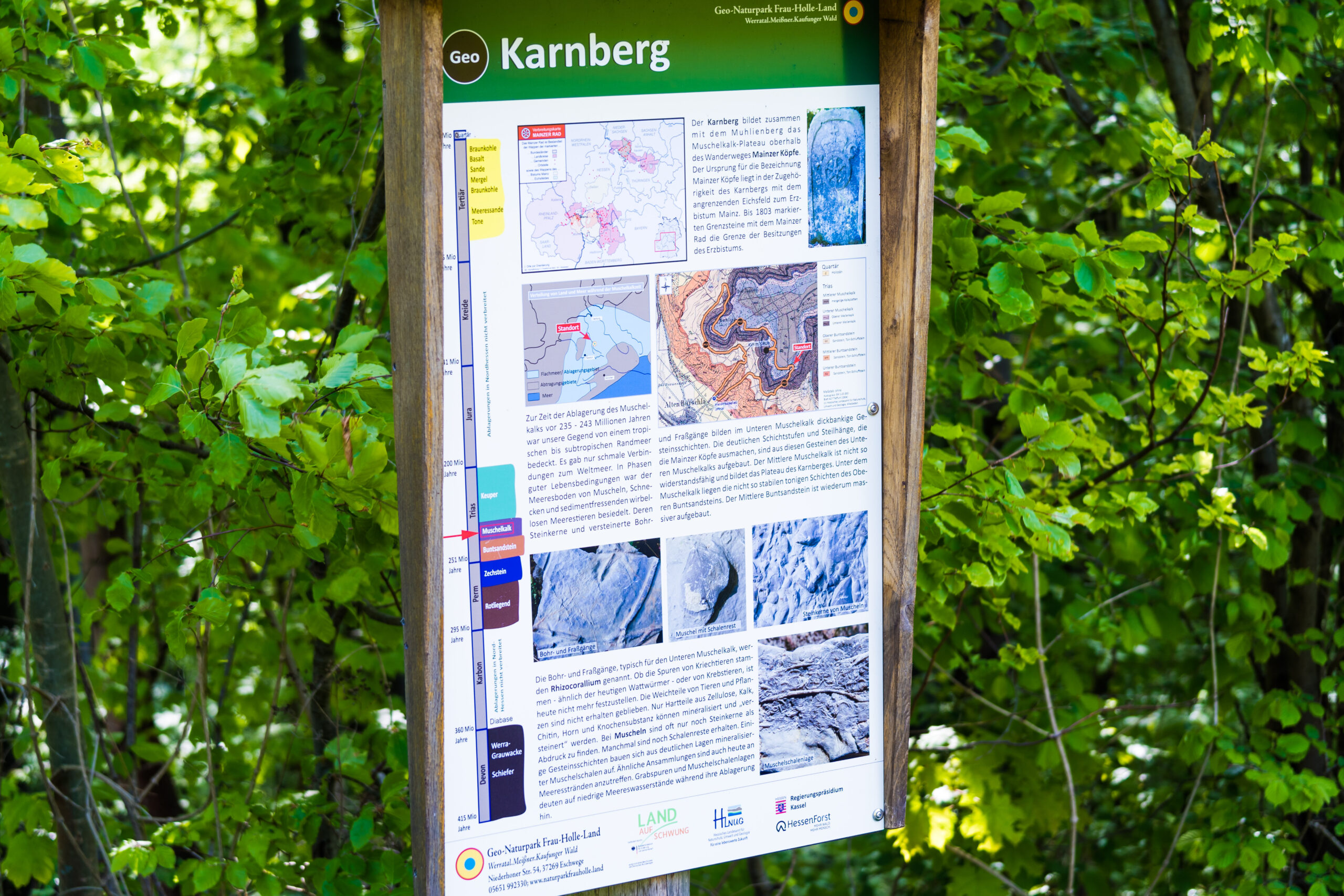 Karnberg (450 m ü. NHN)