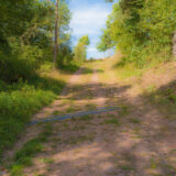 09/2021 - Gerstungener Forst