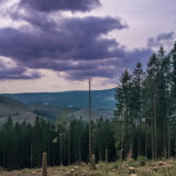 Thüringen, Kickelhahn