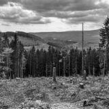 Thüringen, Kickelhahn