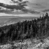 Thüringen, auf dem Rennsteig nahe Kickelhahn