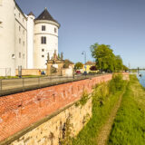 Torgau Elbe Day 2025