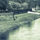 Torgau Elbe Day 2025