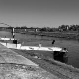 Torgau Elbe Day 2025