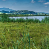 Allgäu, Königswinkel, am Hopfensee