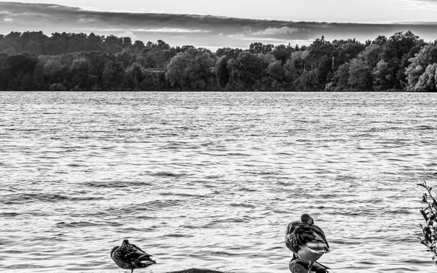 Holsteinische Schweiz, Malente, am Dieksee