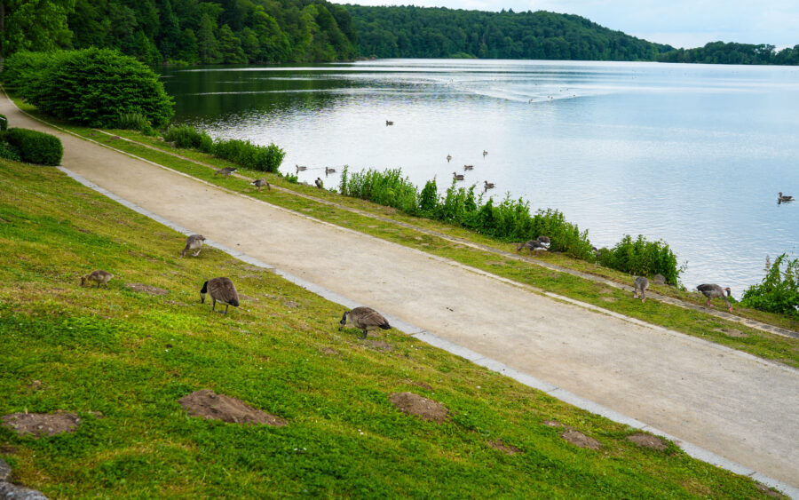 Holsteinische Schweiz, Malente, am Dieksee