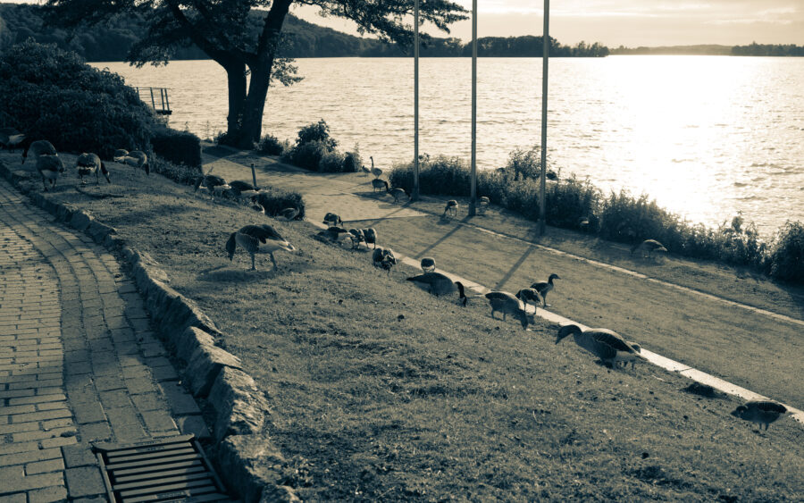 Holsteinische Schweiz, Malente, am Dieksee