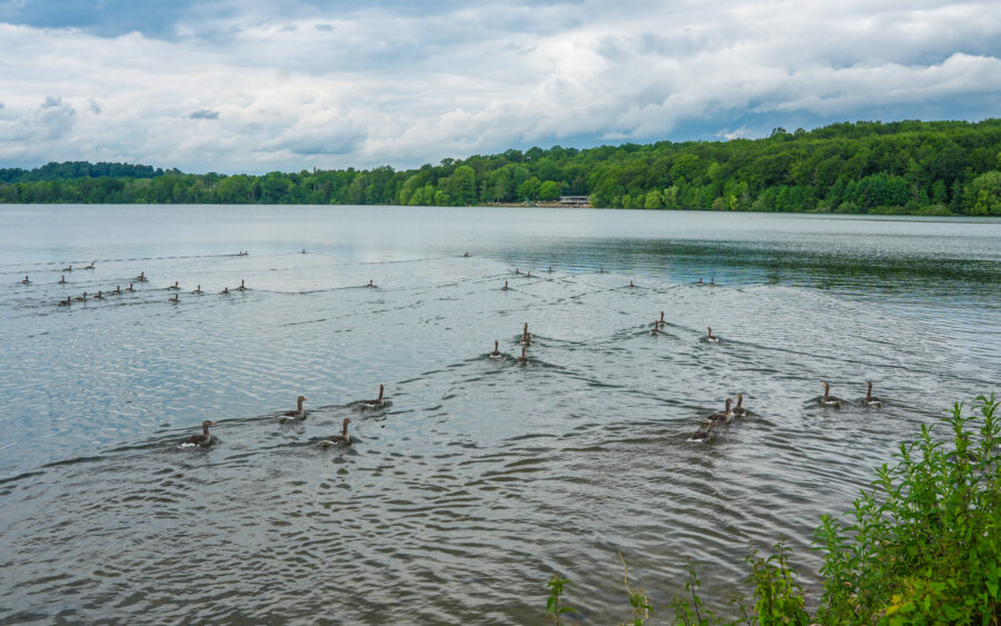 Holsteinische Schweiz, Malente, am Dieksee