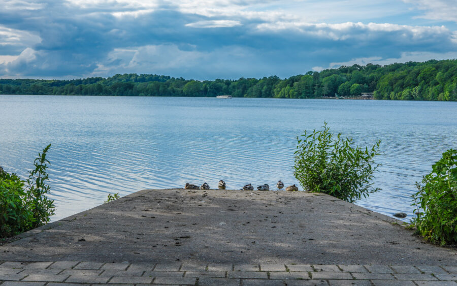 Holsteinische Schweiz, Malente, am Dieksee