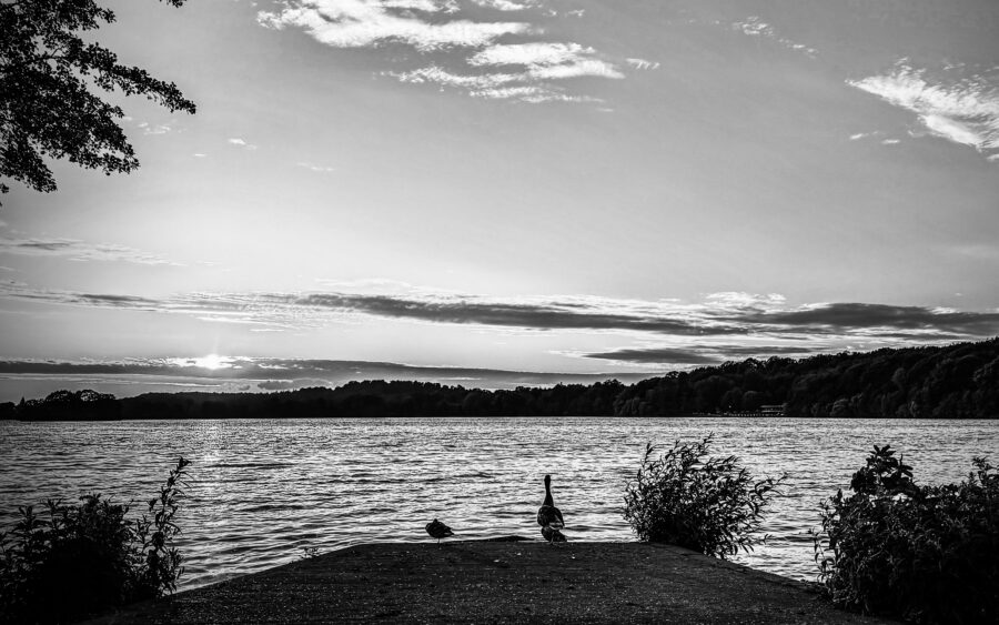 Holsteinische Schweiz, Malente, am Dieksee