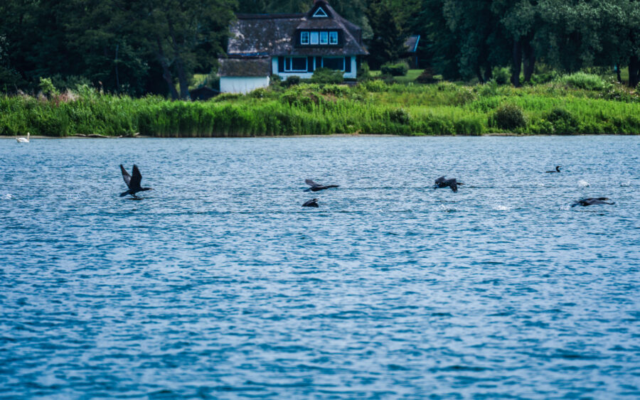 Holsteinische Schweiz, Malente, Dieksee