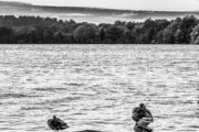 Holsteinische Schweiz, Malente, am Dieksee