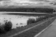 Holsteinische Schweiz, Malente, am Dieksee