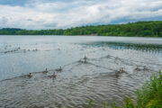 Holsteinische Schweiz, Malente, am Dieksee