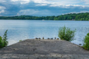 Holsteinische Schweiz, Malente, am Dieksee