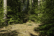Thüringen, Rhön, Helmers