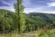 Thüringen, Rhön, Helmers