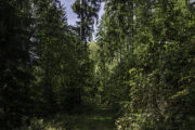 Thüringen, Rhön, Helmers
