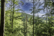 Thüringen, Rhön, Helmers