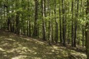 Thüringen, Rhön, Helmers